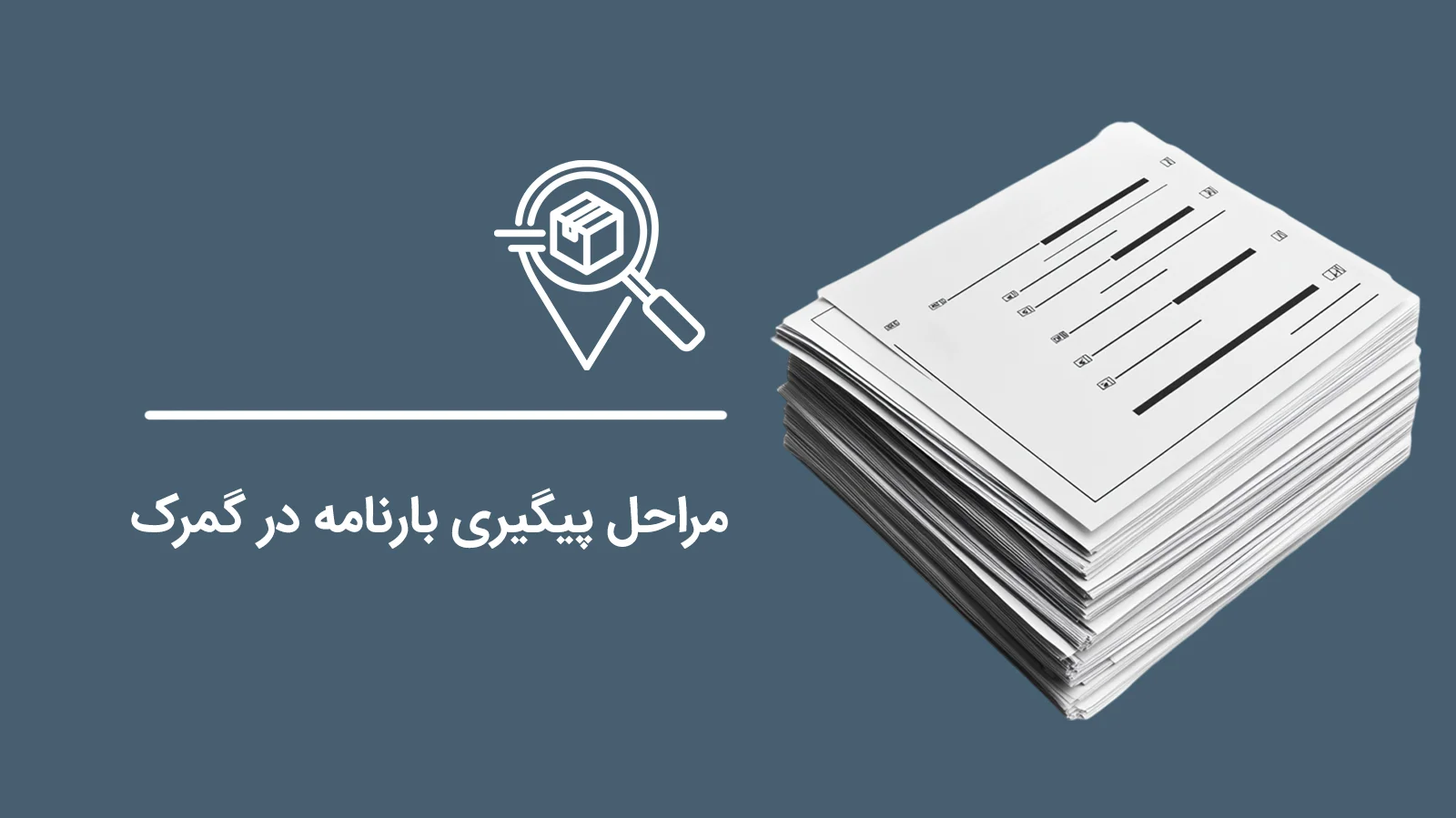 Steps-for-Tracking-Bill-of-Lading-at-Customs1